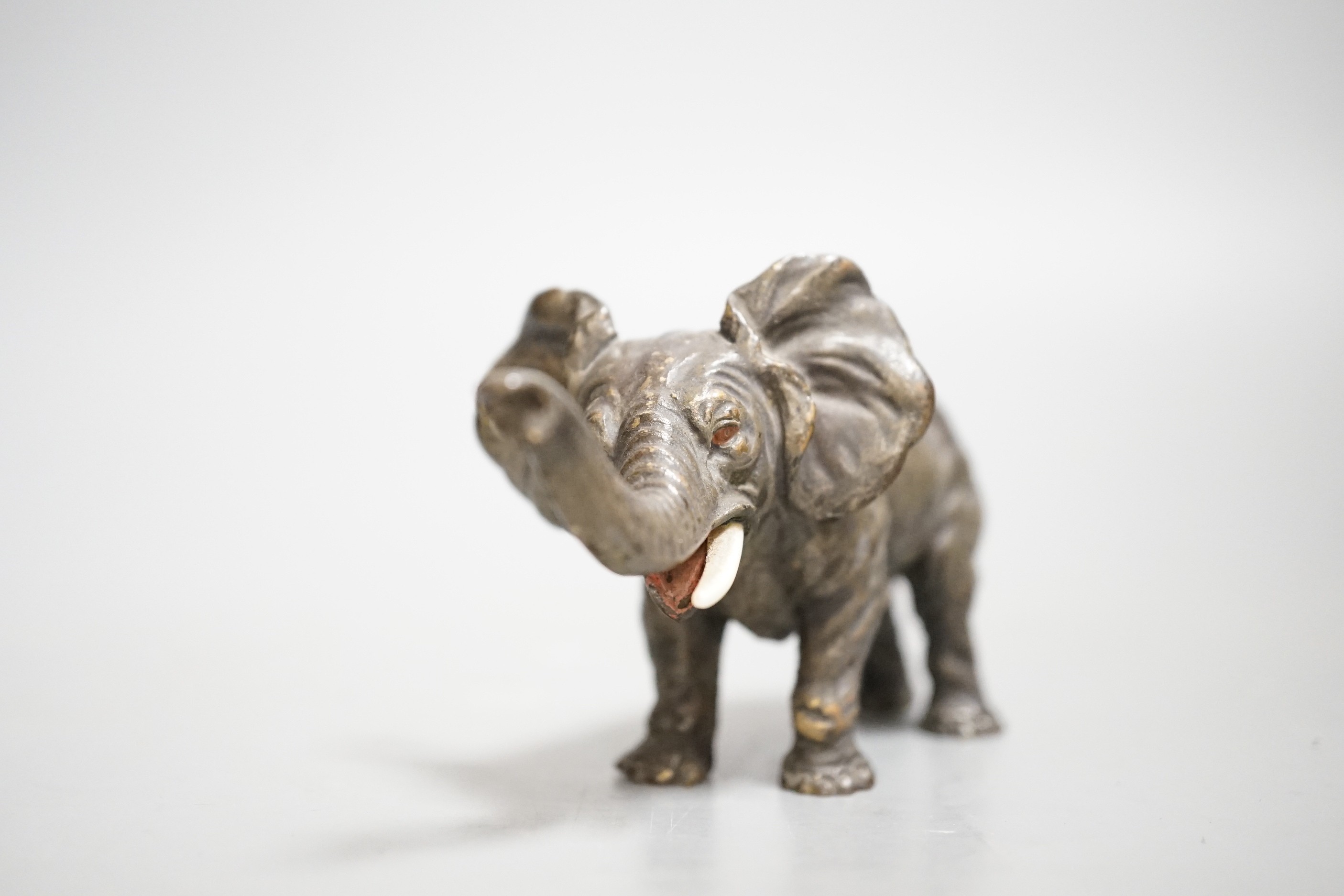 An Austrian cold painted model of an elephant. 11cm long.